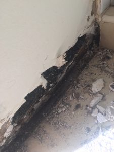 Mould Damage on Bedroom Wall (Result of leaking shower)