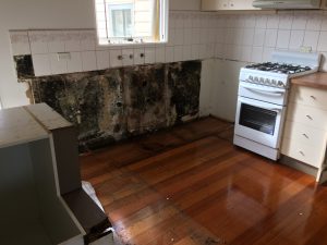 Mould Damaged Kitchen Removal